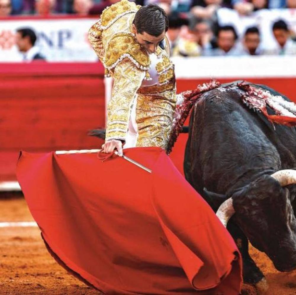 Meet your Posher, Roberto